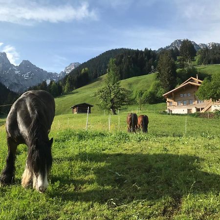 Au Pre Des Chevaux Bed and Breakfast Chateau-d'Oex Buitenkant foto