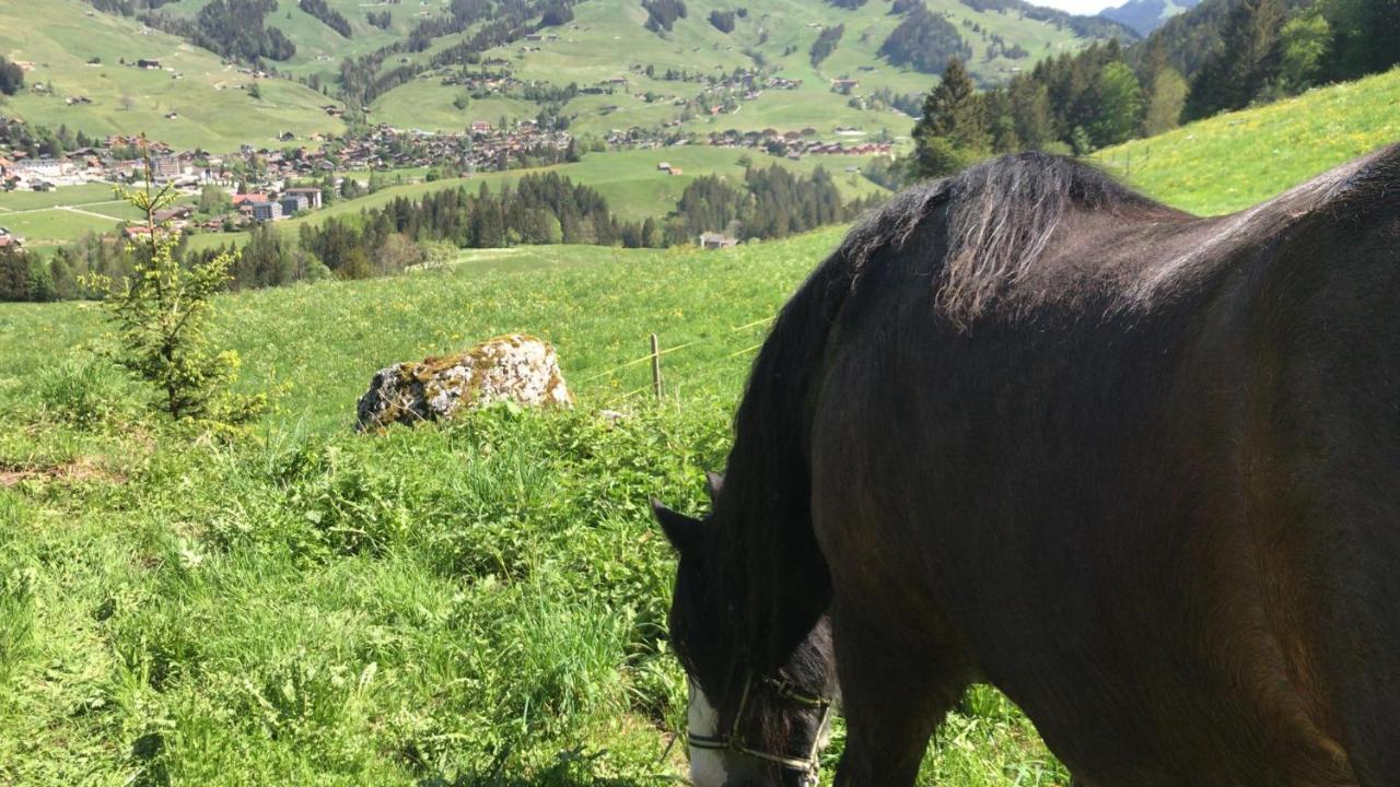 Au Pre Des Chevaux Bed and Breakfast Chateau-d'Oex Buitenkant foto
