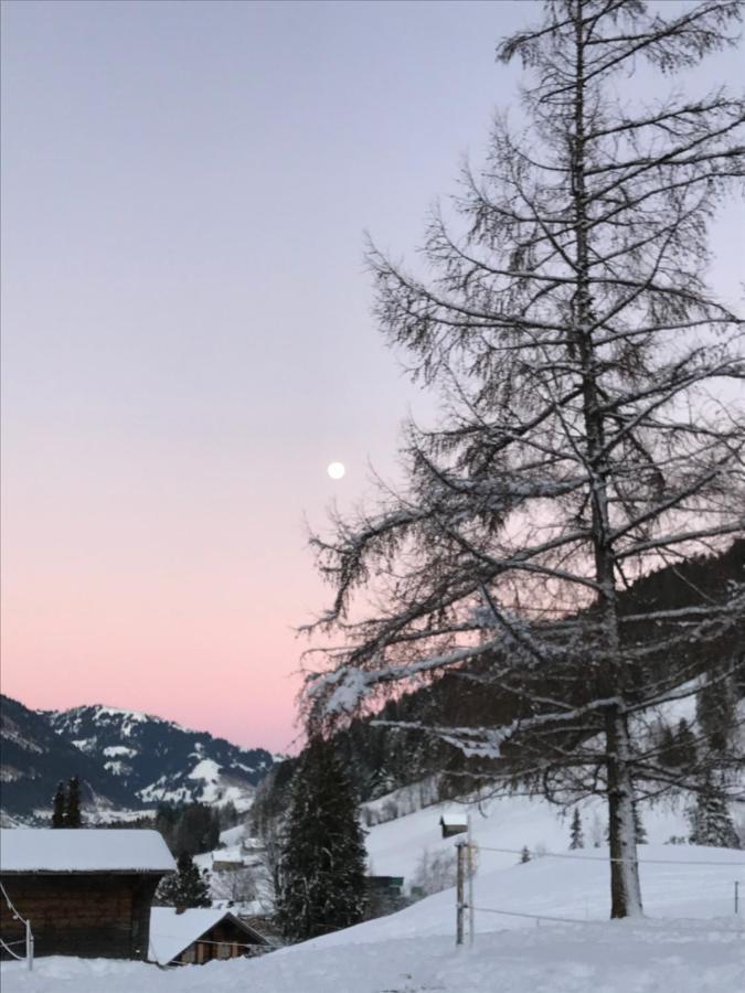 Au Pre Des Chevaux Bed and Breakfast Chateau-d'Oex Buitenkant foto