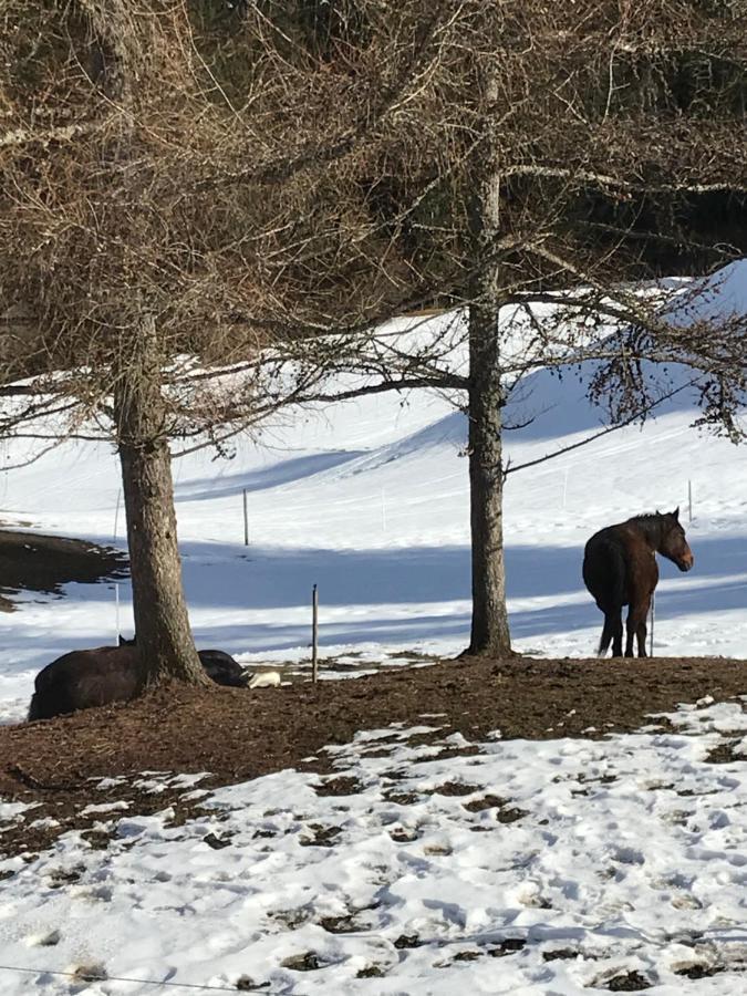 Au Pre Des Chevaux Bed and Breakfast Chateau-d'Oex Buitenkant foto