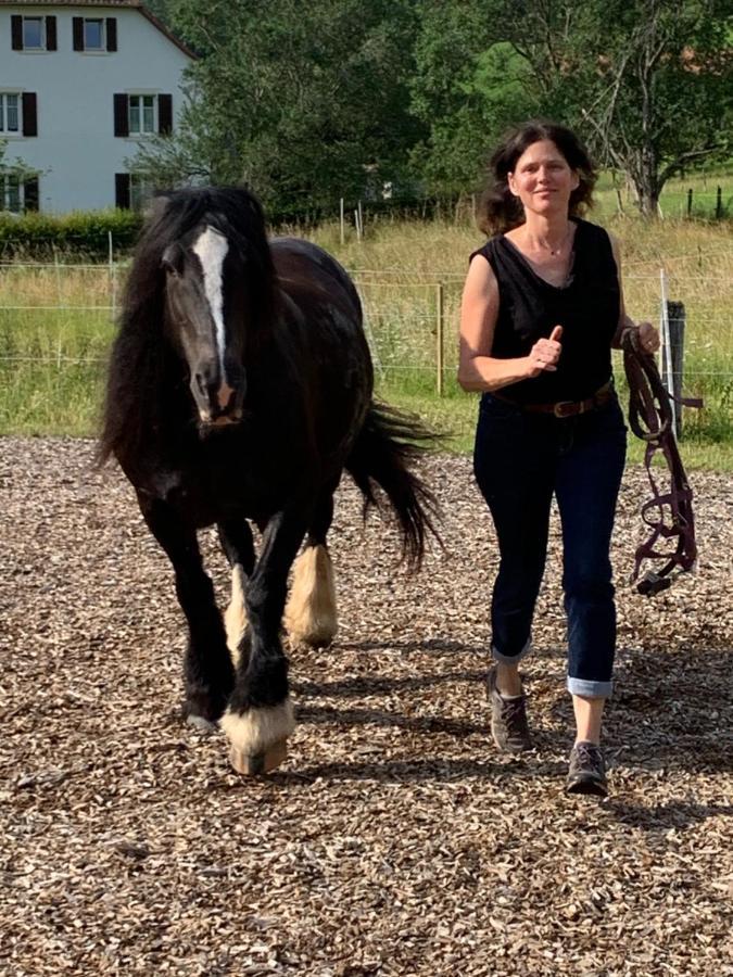 Au Pre Des Chevaux Bed and Breakfast Chateau-d'Oex Buitenkant foto