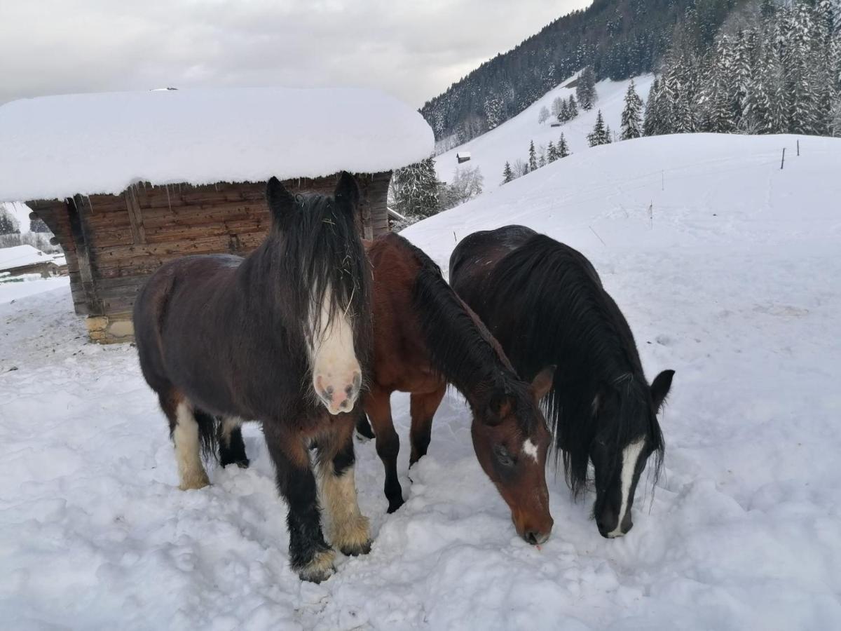 Au Pre Des Chevaux Bed and Breakfast Chateau-d'Oex Buitenkant foto