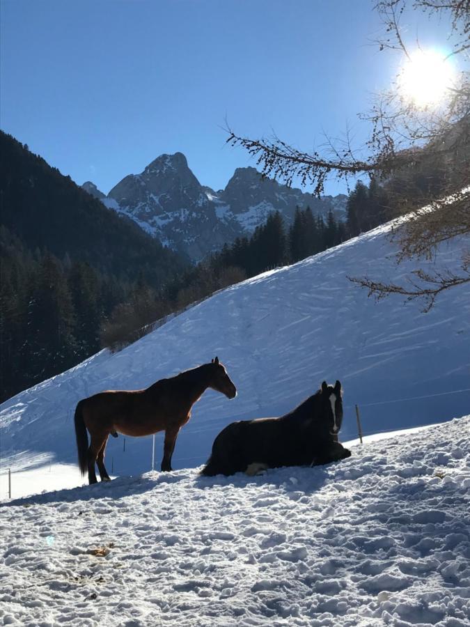 Au Pre Des Chevaux Bed and Breakfast Chateau-d'Oex Buitenkant foto