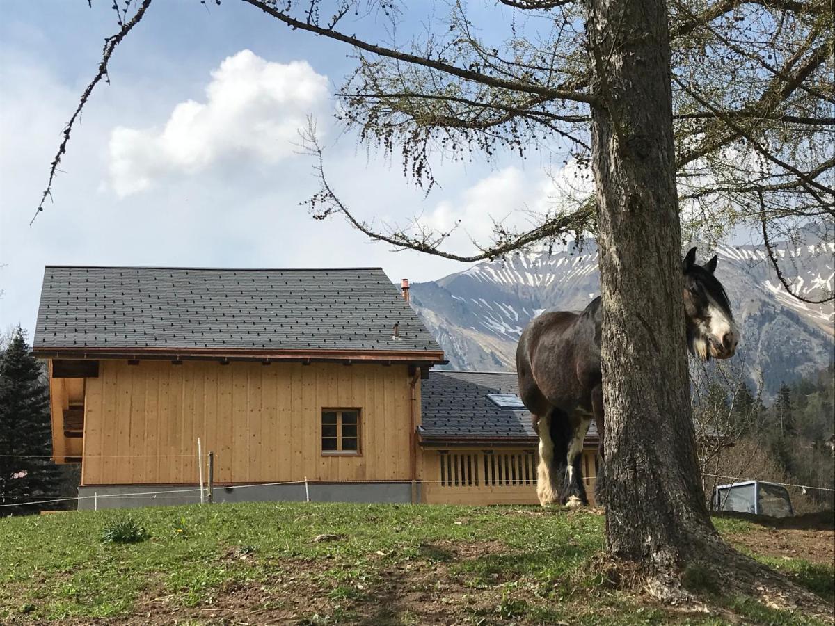 Au Pre Des Chevaux Bed and Breakfast Chateau-d'Oex Buitenkant foto