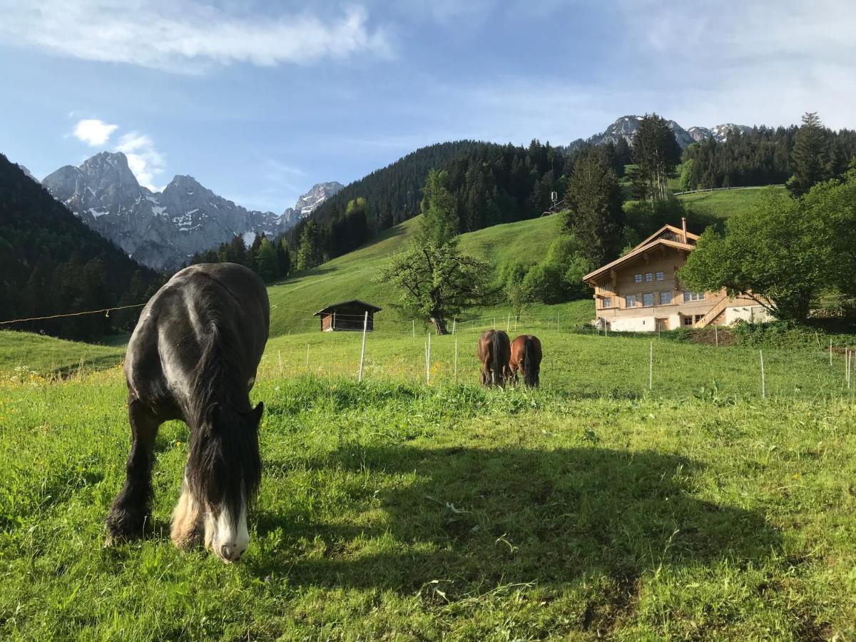 Au Pre Des Chevaux Bed and Breakfast Chateau-d'Oex Buitenkant foto
